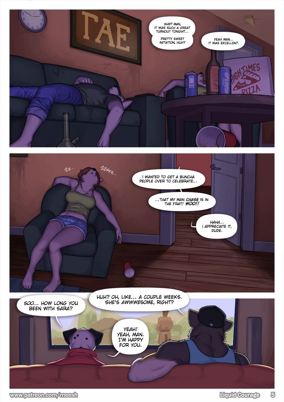 Page 5